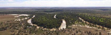 Bakara Station - NSW (PBH4 00 9364)